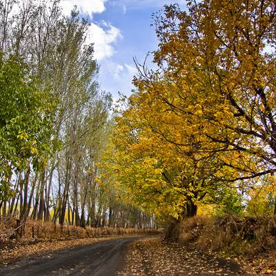 Aldea de Pari (Piruz)